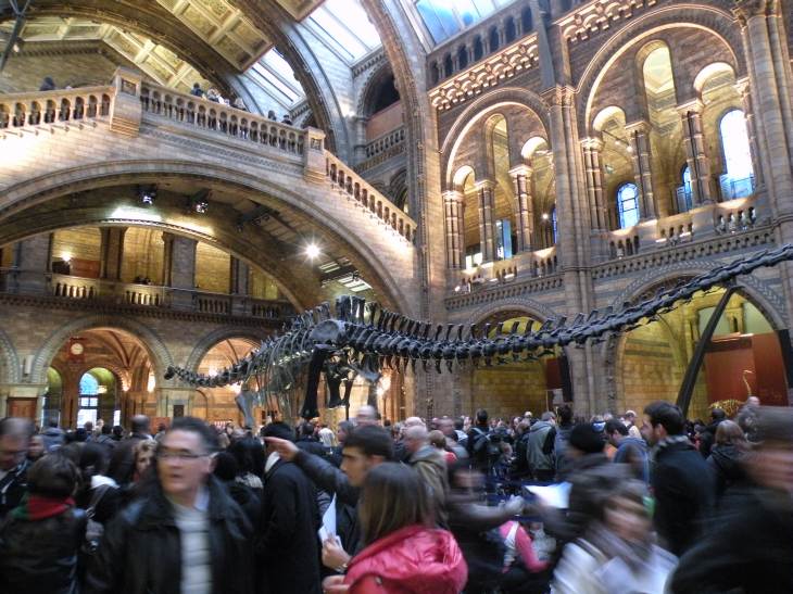  Hall central du Museum d'Histoire Naturelle